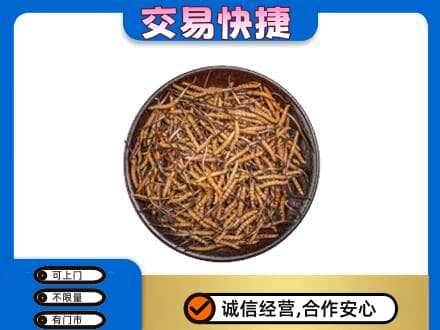 洛阳洛宁县回收散虫草
