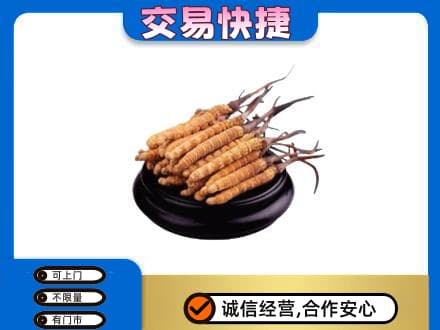 洛阳洛宁县高价回收冬虫夏草多少钱每克